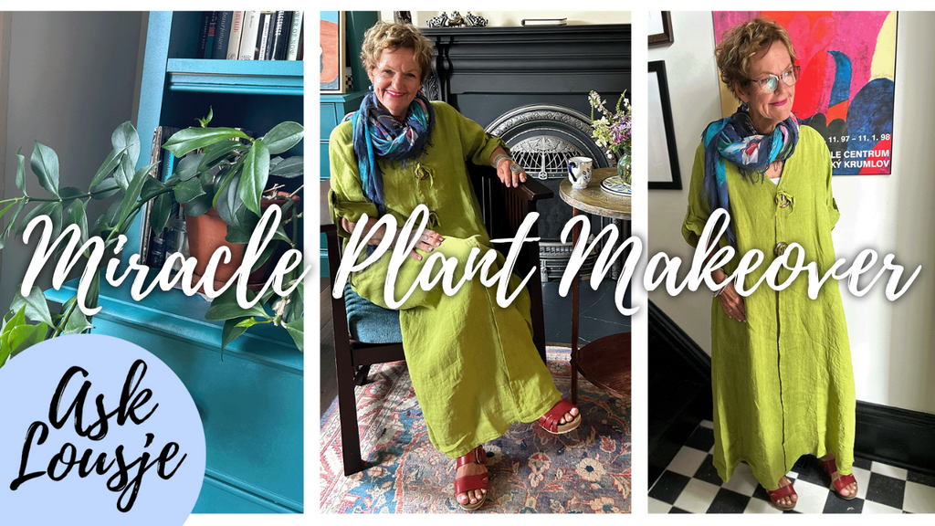Ask Lousje: Miracle Plant Makeovers