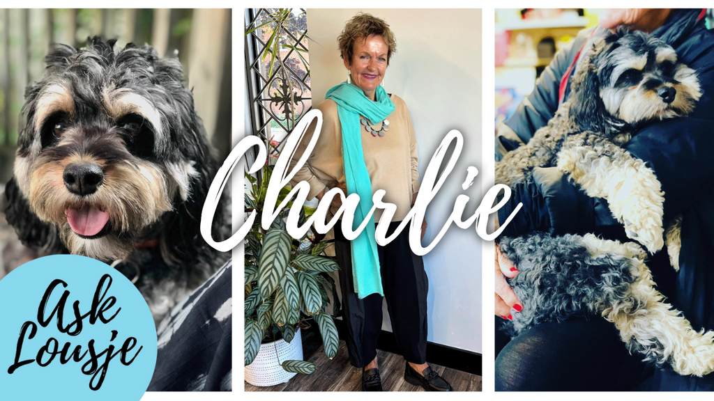 Ask Lousje: All About Charlie